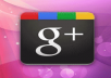 give you Real human phone verified 60 google+ vote within 24h