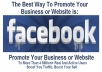 promote your Business or website to 4,45,749 Real and Active Facebook Users