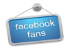 increase facebook fans by giving over 1000 likes to NEW fan page without admin