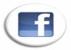 get you 110++ REAL Human Facebook likes to your fanpage 