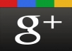 I will provide you verified 25 Google+1 vote