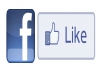 give you 150 facebook like or FB fan(Real in 2days)) 