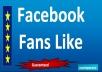  give you 100+50 Facebook fans l+i+k+e on your new fan page
