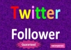 give you 300 Real twitter followers(NOT EGG) within 72 hours without password only