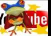 deliver 1000 and above youtube views  