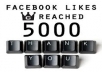  get you 5000+ REAL HUMAN Facebook likes 