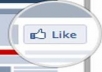 give you 500 facebook fans
