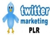 give you twitter PLR, Sales Page, Squeeze Page, Graphics, PSDs, MiniSite