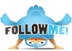 provide you 200 twitter followers
