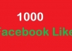 give 1000+ Worldwide Facebook like naturally to your fanpage