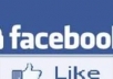give you 210+ real facebook USA like all from real USA account in your any site ,any page