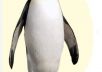 help you beat the Penguin update with 30 contextual high pr web 2 links