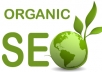 provide 600+ BEST Social Bookmarking Services ✺Drip Feed ✺Spintax ✺Rss ✺Ping ✺PR 8 to 0 ✺Authority sites ✺Penguin Safe