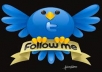 give you 100 Twitter Folowewrs on your  Site only