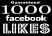add 1000+ facebook likes to your fanpage with LEGAL service without admin access in 24hours 