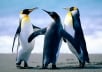 give 10 facebook likes to fanpages