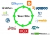 create linkwheel of 15 web 2,0 blogs and backlink them with 200 social bookmarks+ 2000 wikilinks+ ping all links, Great Link Diversity:) 