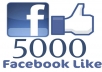 Give You 5000 FACEBOOK Fake Likes Guaranteed On Your Fans Page Without ID Pass
