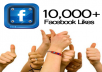 I will give you 10000 Active Facebook Likes