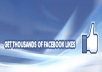 give you 1200 VERIFIED authentic facebook likes guaranteed safe to any domain website webpage blog in 48 hours only