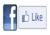 Get You 100 Real Facebook subscribes or LIKE 