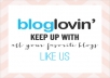 give 200 BLOGLOVIN followers to your blog