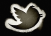 add EXPRESS 10000 Twitter Followers to your account in a day