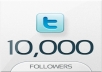 can you 11,000+ twitter followers in your account just few hours