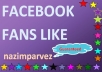  give you100+100+100 Facebook fans in your new page within sort time