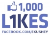 Get You 1000+ Real Likes To Your Facebook Fan Page