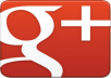 give you 50 real google + in your blog/site 