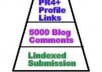 make backlinks pyramid of over 300 PR4 + tier1 social media + profiles and 5000 blog comments tier 2 and lindexed ping submission