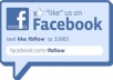 GIVE YOU 121+ REAL FANS ON YOUR FACE-BOOK FAN-PAGE ONLY