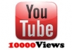 give your youtube video 10,000 views in 48 hours for