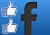 give you 300 real fans on your new fanpage increasing your popularity only