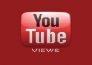 deliver 50,000 youtube views to your Youtube Video 