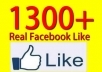 add 1300+ likes to your facebook page, facebook fanpage without admin access in 48 hours 