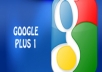 give u 100% 30+ manual google+1 in 1 day