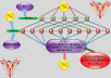make eminent backlink pyramid with about 5000 profiles,most dofollow,include edu gov sites,good seo for youtube with xrumer senuke scrapebox