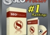 Give you wordpress seo pressor multi site with Great seo tool