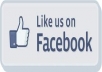 give you 350 real facebook like on your any page from real user