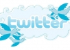 add 32,000+ real looking twitter followers to your account within 24 hours