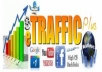 deliver real human traffic to your website for 1 full YEAR, adsense safe service for $5