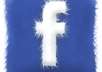 add 30 Fans to your Facebook Fanpage so you can secure your unique URL