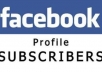 give u 300 facebook subscribers within a short time