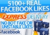 give you 5111+ Top Quality Real Human Active FACEBOOK likes To Your Fb Page, Only Genuine And Active Fans With Photos And Friends