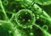 Virus&rsquo; New Target- The Drone Software in Nevada!