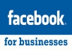 add 1000 Facebook Fans or LIKES within 24 Hours to any Fan Page Guaranteed