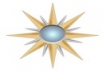thebusinessdata