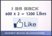 provide 1200+ USA Permanent Facebook likes/Fans divided into two Facebook pages 600x2= 1200 In few hours